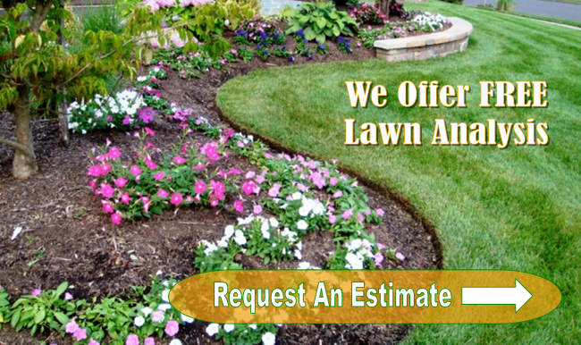 lawn care atlanta home 650x386